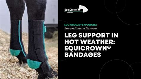 equicrown bandagen.